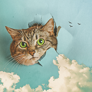 在线看黄色电影
