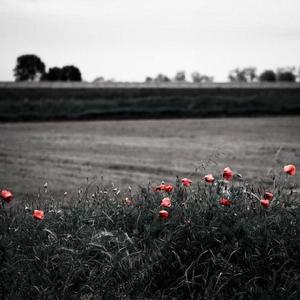 在线看黄色电影
