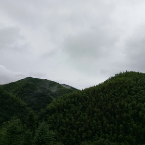 在线看黄色电影
