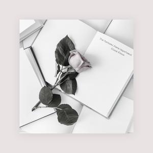 在线看黄色电影
